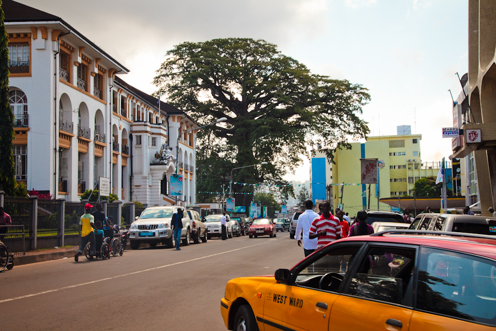 The Old Cotton Tree, Freetown. Photo credit: bobthemagicdragon, https://www.flickr.com/photos/bobthemagicdragon/7003920506 Featured image