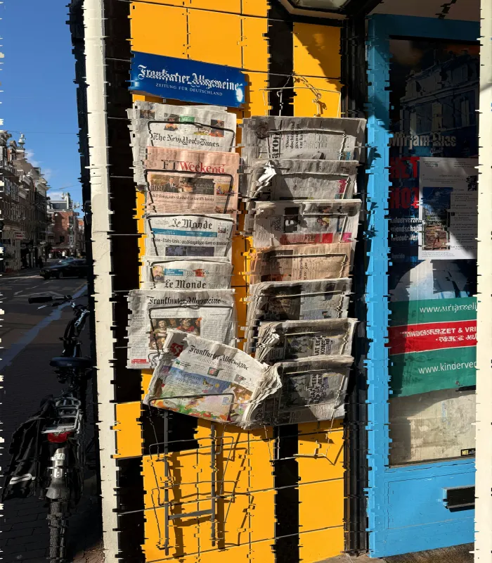 Safeguarding Rights in the Age of Information Disorder