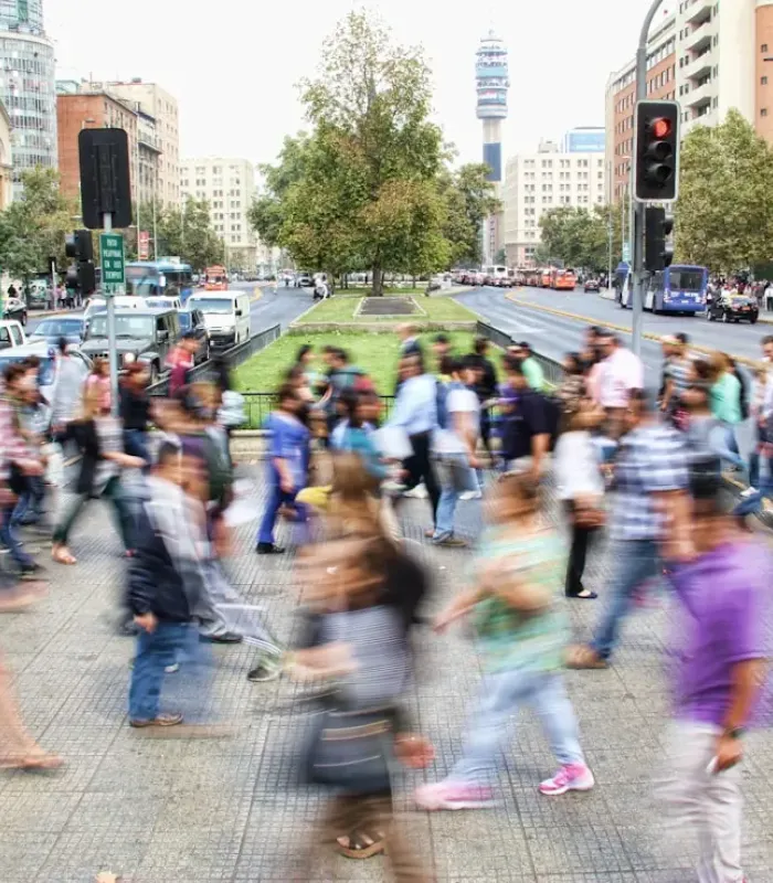 Understanding FIMI BG