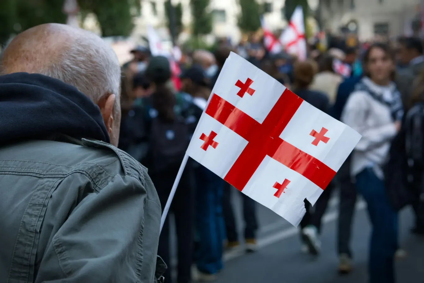 Man carries Georgian flag in crowd